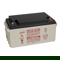 EnerSys Genesis NP65-12 12V 65Ah